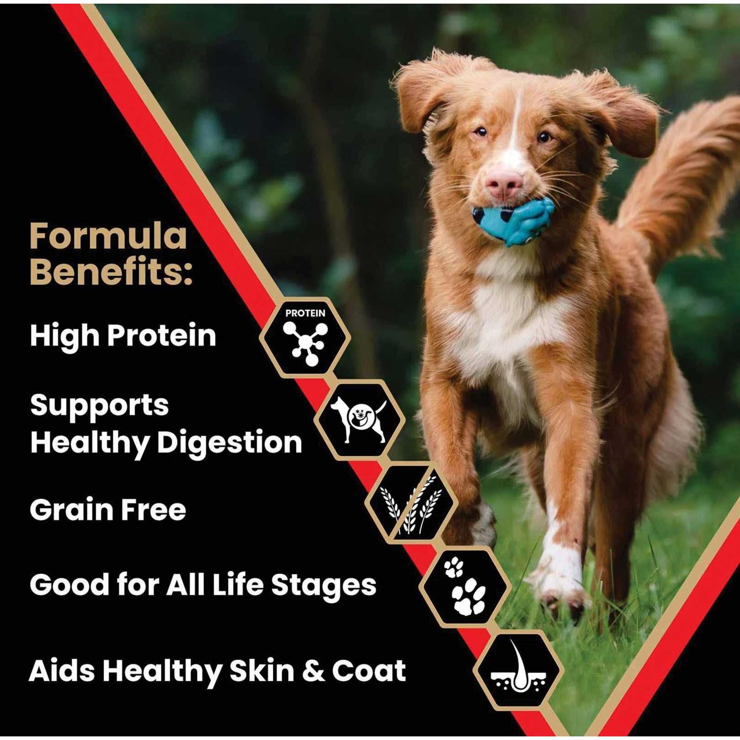 Victor Dog Food Grain Free Active Dog & Puppy - Pet Supplies online store