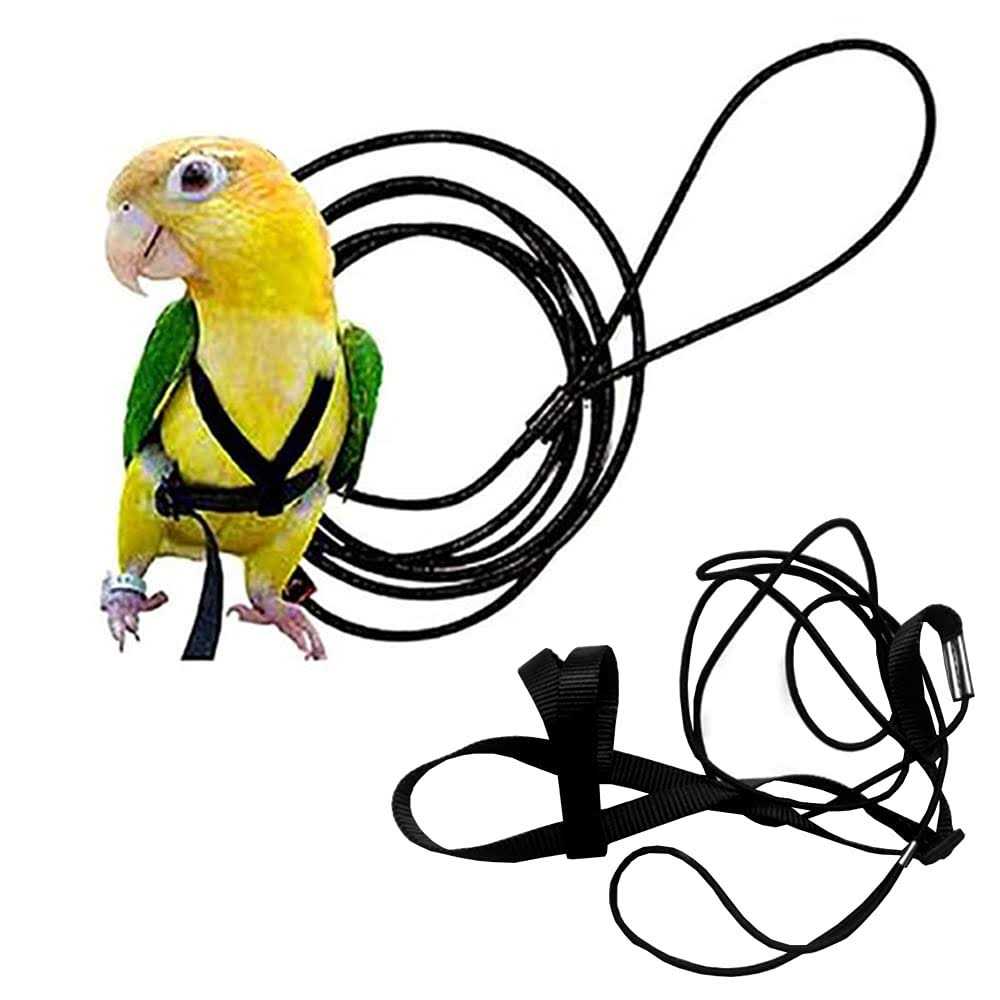 Anelekor Adjustable Birds Harness and Leash Parrot Harness Leash Training Supplies Pet Anti-bite Outdoor Flying Rope for Conures Budgerigar Lovebird - Pet Supplies online store