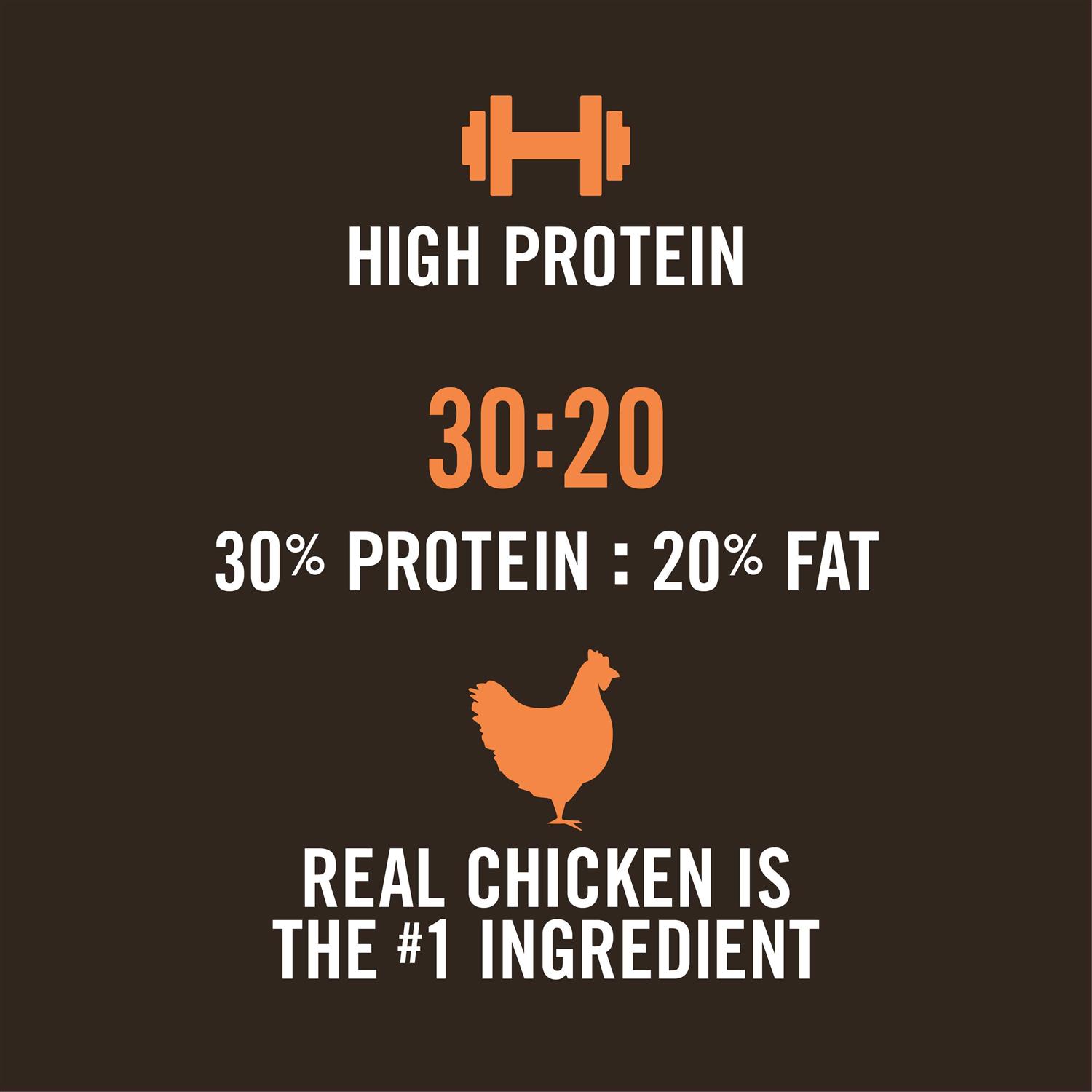 WholeHearted Active Performance High-Protein Chicken & Rice Recipe Dry Dog Food - Pet Supplies online store