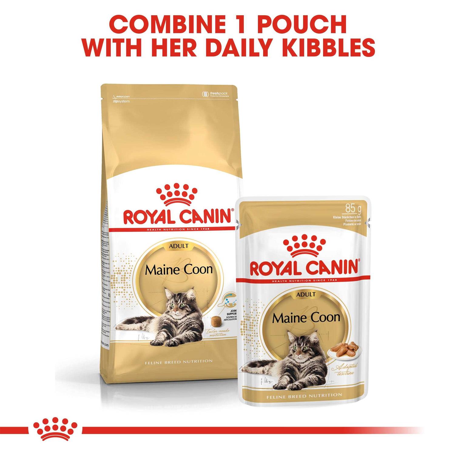 Royal Canin Feline Breed Nutrition Maine Coon Dry Cat Food - Pet Supplies online store