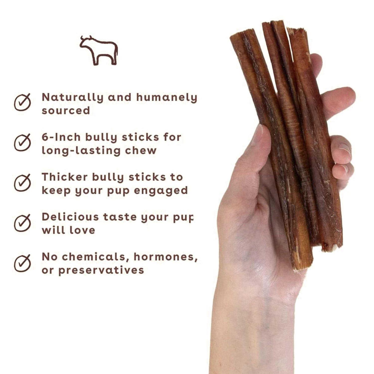 Pupford Bully Stick Dog Chew - Pet Supplies online store