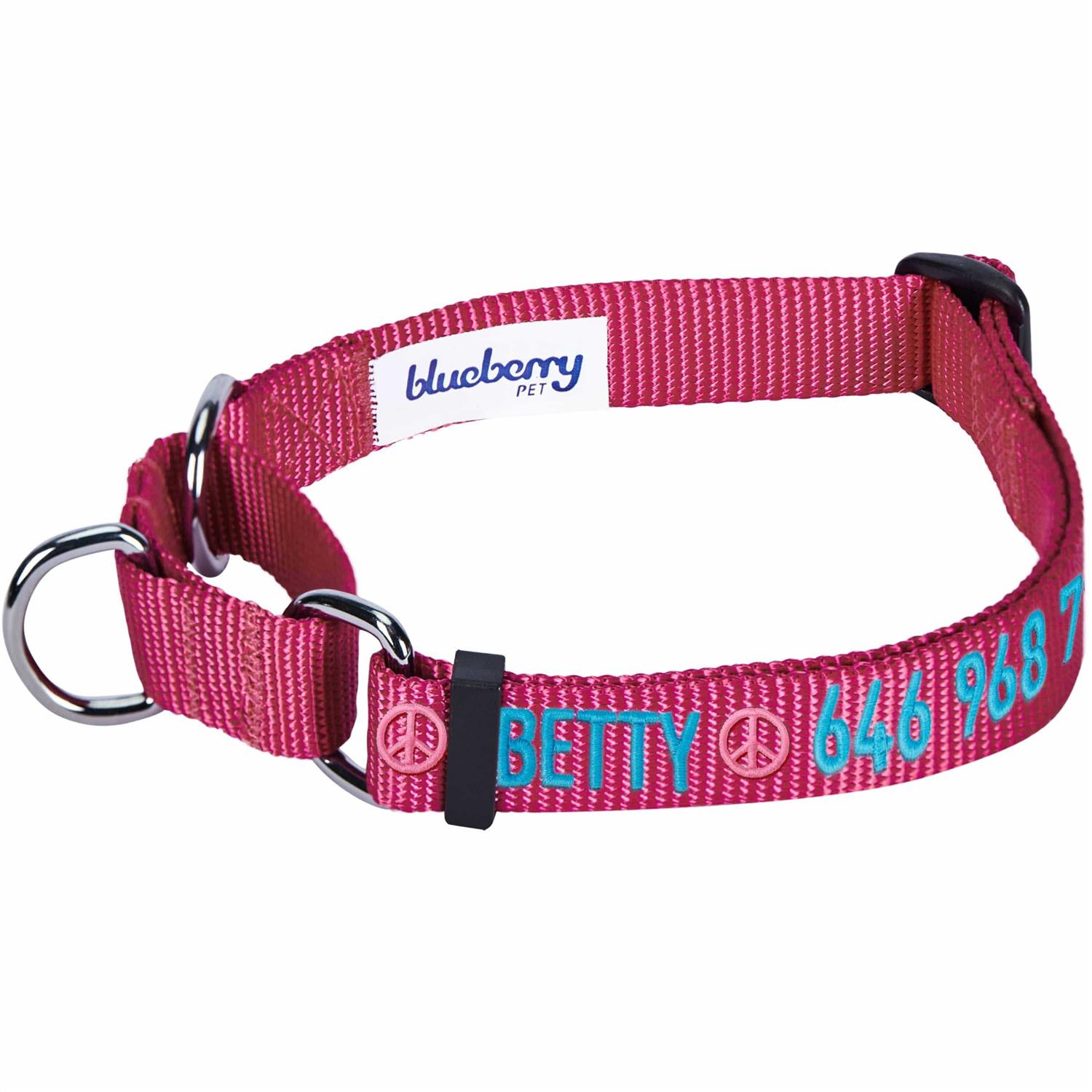 Blueberry Pet Martingale Safety Training Dog Collar - Pet Supplies online store
