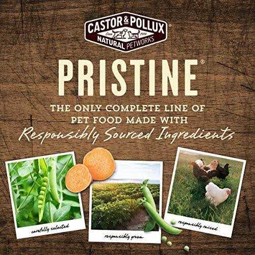 Castor & Pollux Pristine Beef Bone Broth - Pet Supplies online store