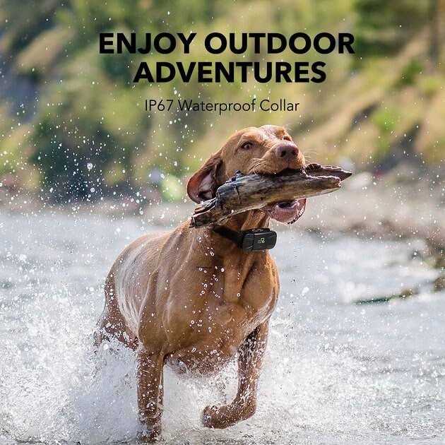 Dogcare TC-System-11 Dog Training System - Pet Supplies online store