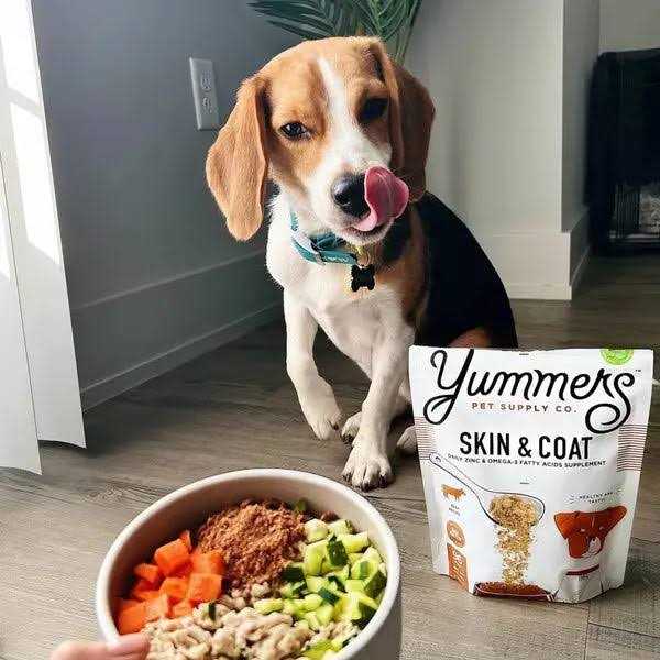 Yummers Skin & Coat Beef Dog Food - Pet Supplies online store