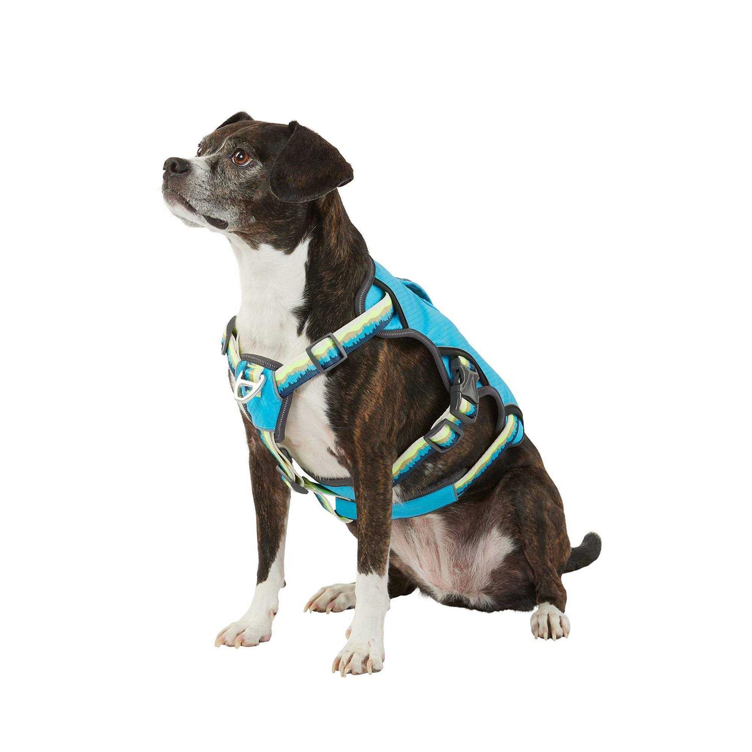 Arcadia Trail LED Ultimate Safety Dog Harness - Pet Supplies online store