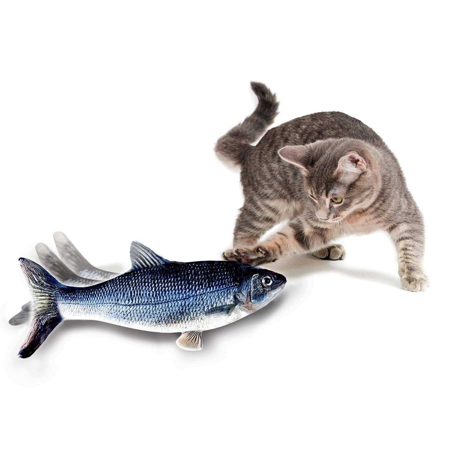 Flippity Fish Cat Toy - Pet Supplies online store