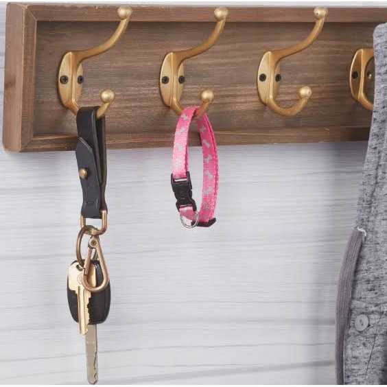 Vibrant Life Reflective Dog Collar - Pet Supplies online store