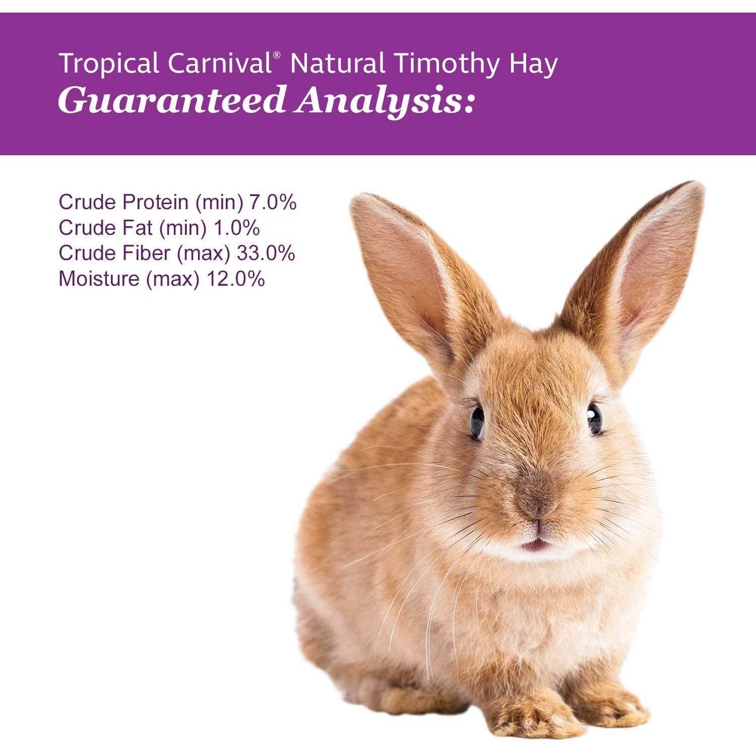 Brown's Tropical Carnival Natural Timothy Hay - Pet Supplies online store