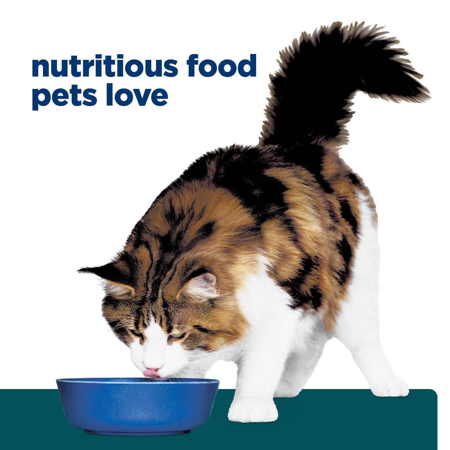 Prescription Diet w/d Digestive/Weight Management Feline Dry Food - Pet Supplies online store