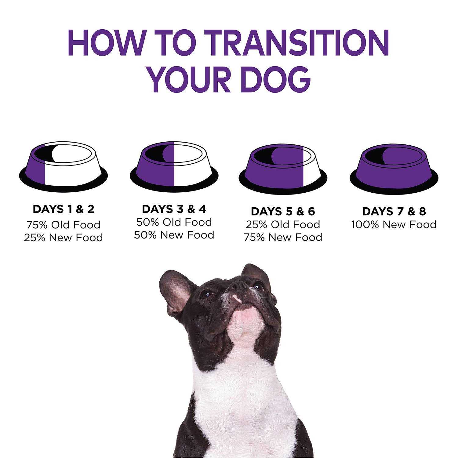 Wellness Complete Health Chicken Senior Dry Dog Food - Pet Supplies online store