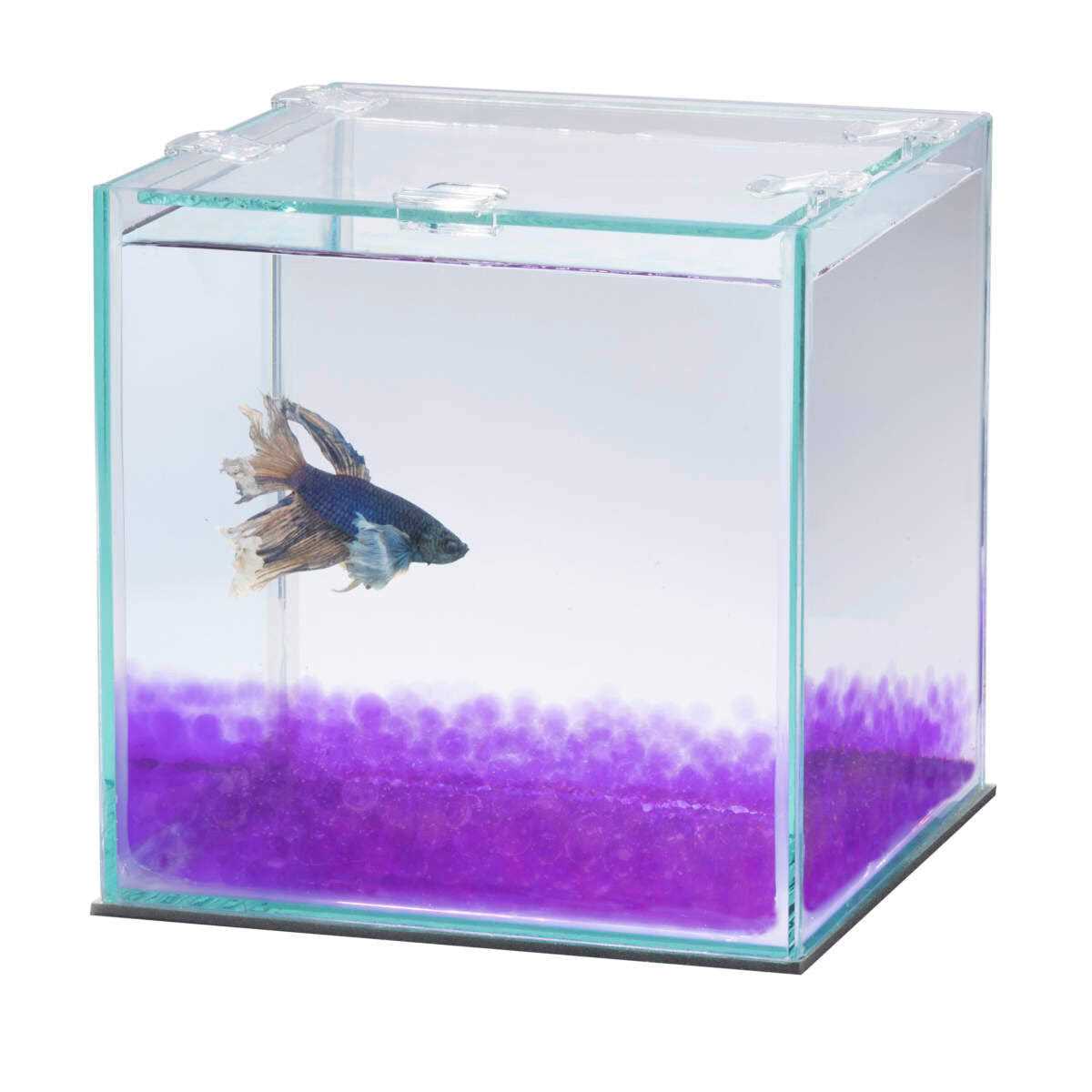 Aqueon Pure Betta Beads - Pet Supplies online store
