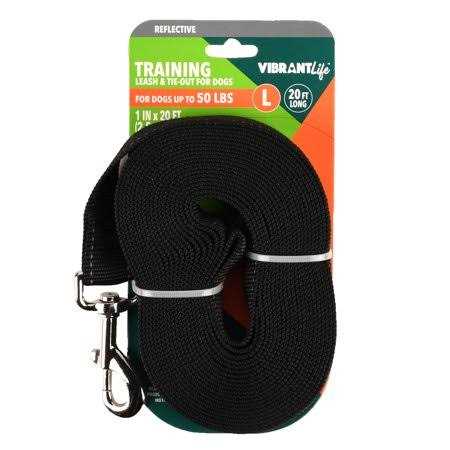 Vibrant Life 20' Polyester Slip Lead Dog Leash - Pet Supplies online store