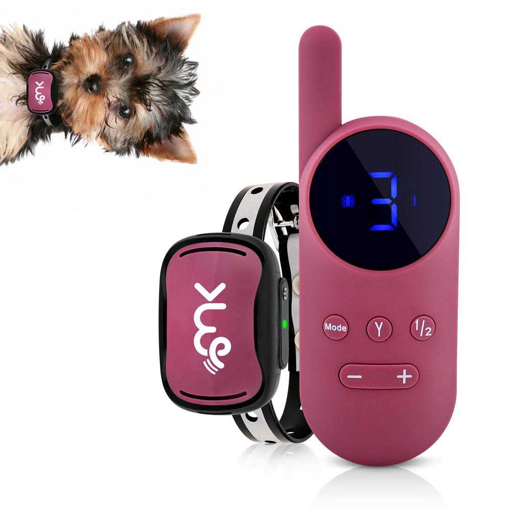 Wiggle Kingdom Worlds Smallest Shock Collar For Small Dogs with Sound Vibration & Shock - Pet Supplies online store