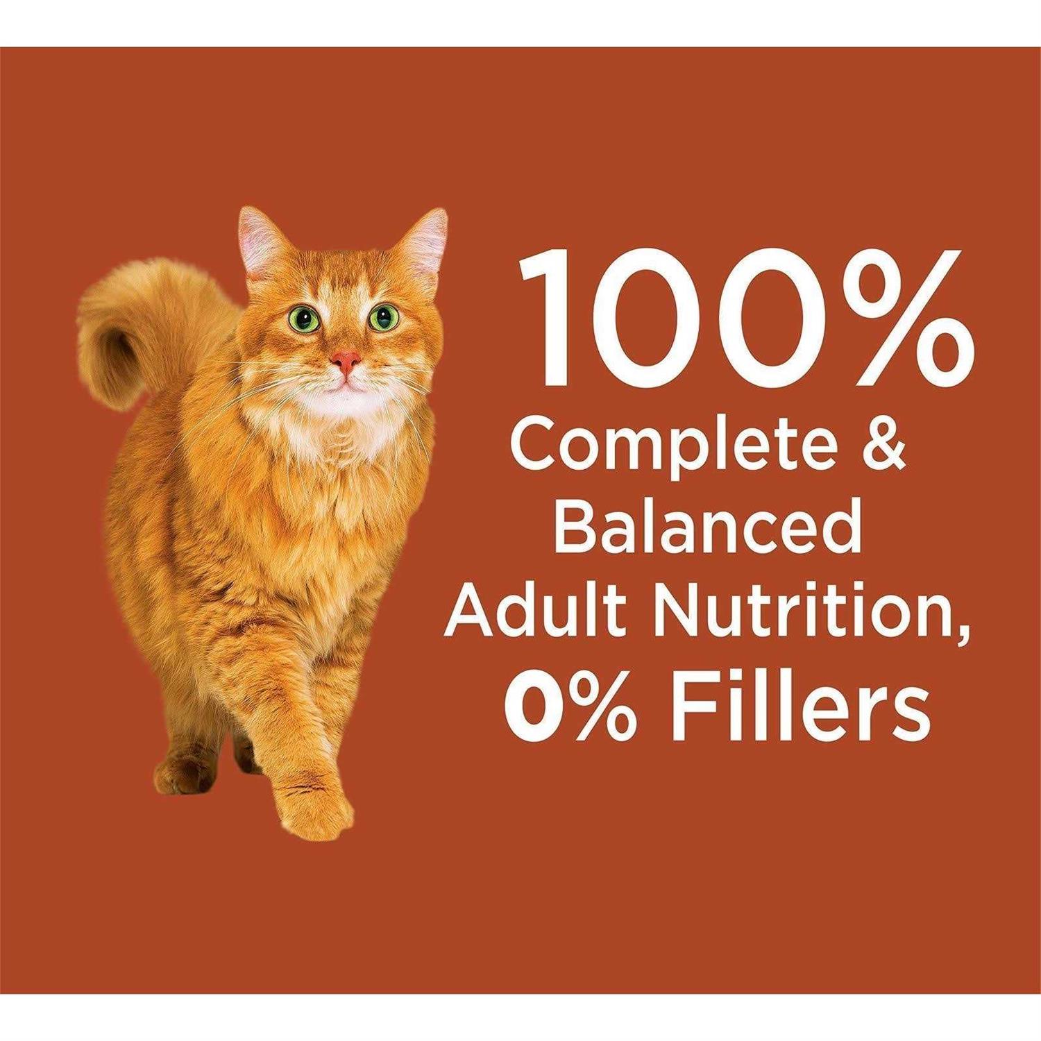 Iams Proactive Health High Protein Adult Dry Cat Food with Chicken & Salmon - Pet Supplies online store