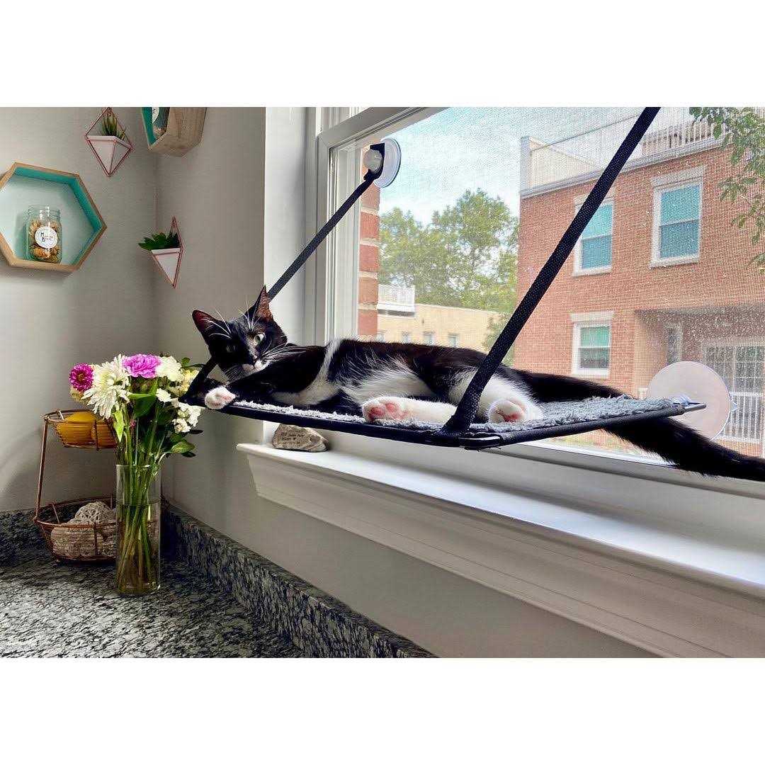K&H Pet Products EZ Mount Window Kitty Sill - Pet Supplies online store