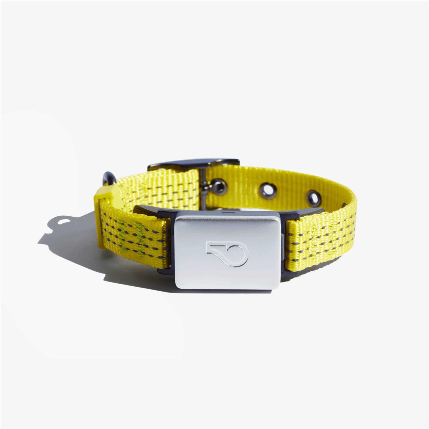 Whistle Switch Smart Collar Kit GPS location Health & Fitness - Pet Supplies online store