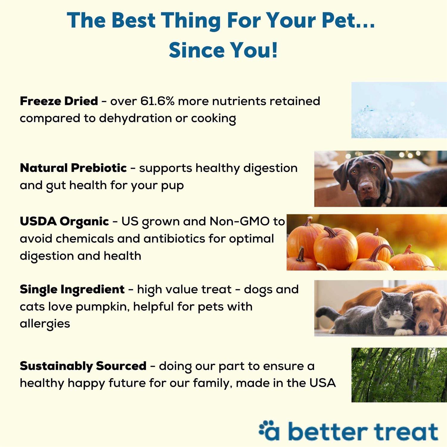 A Better Treat Pumpkin Organic Freeze-Dried Dog & Cat Treats - Pet Supplies online store