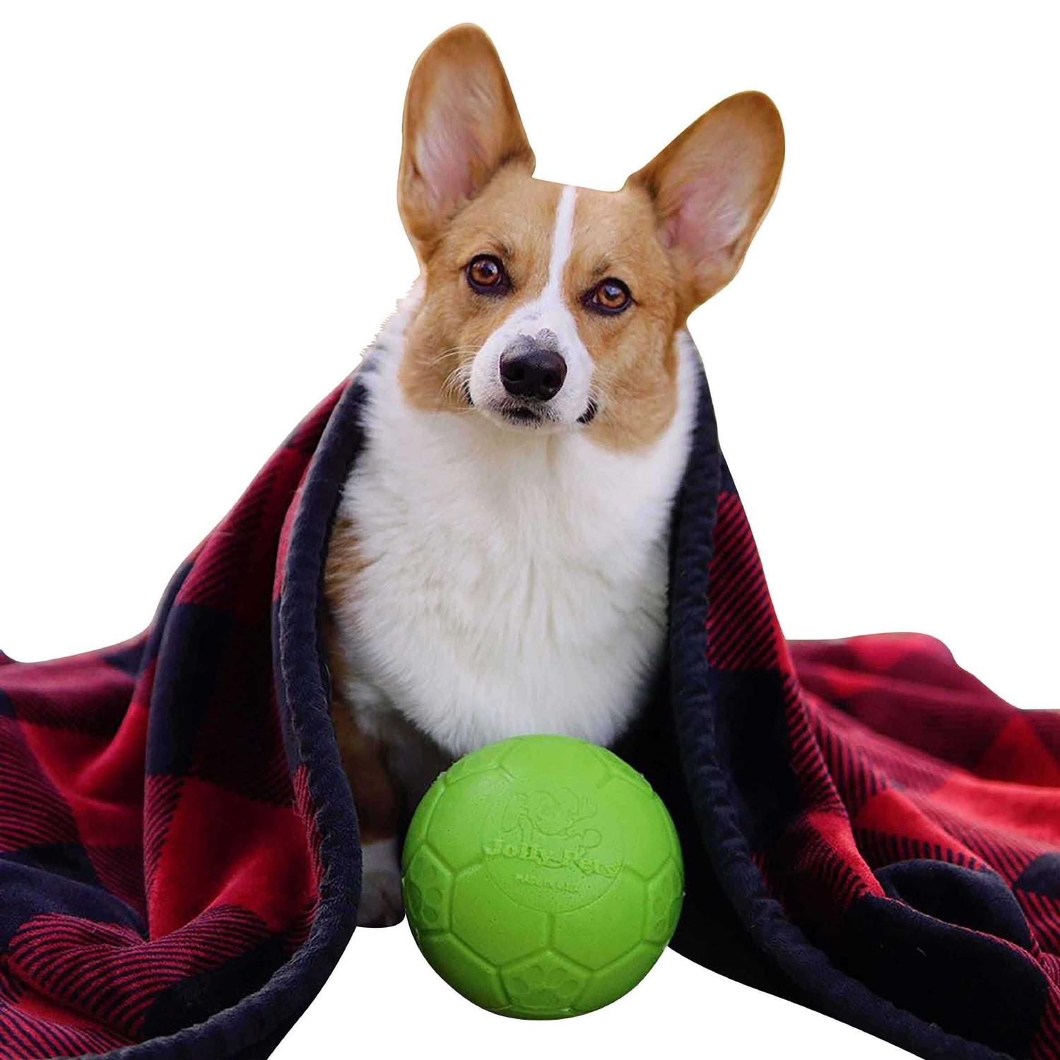 Jolly Pets Soccer Ball - Pet Supplies online store