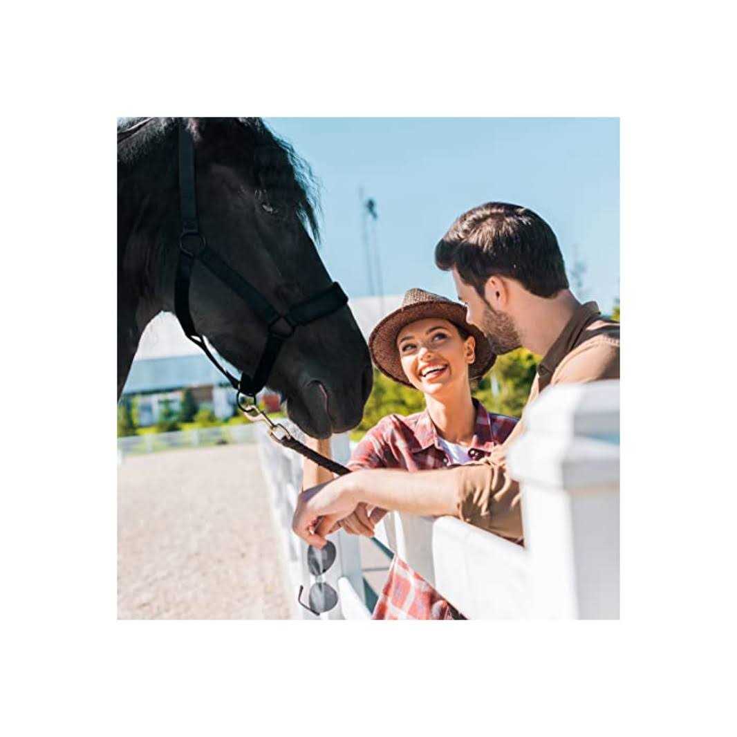 Tough 1 Easy Breathe Grazing Muzzle - Pet Supplies online store