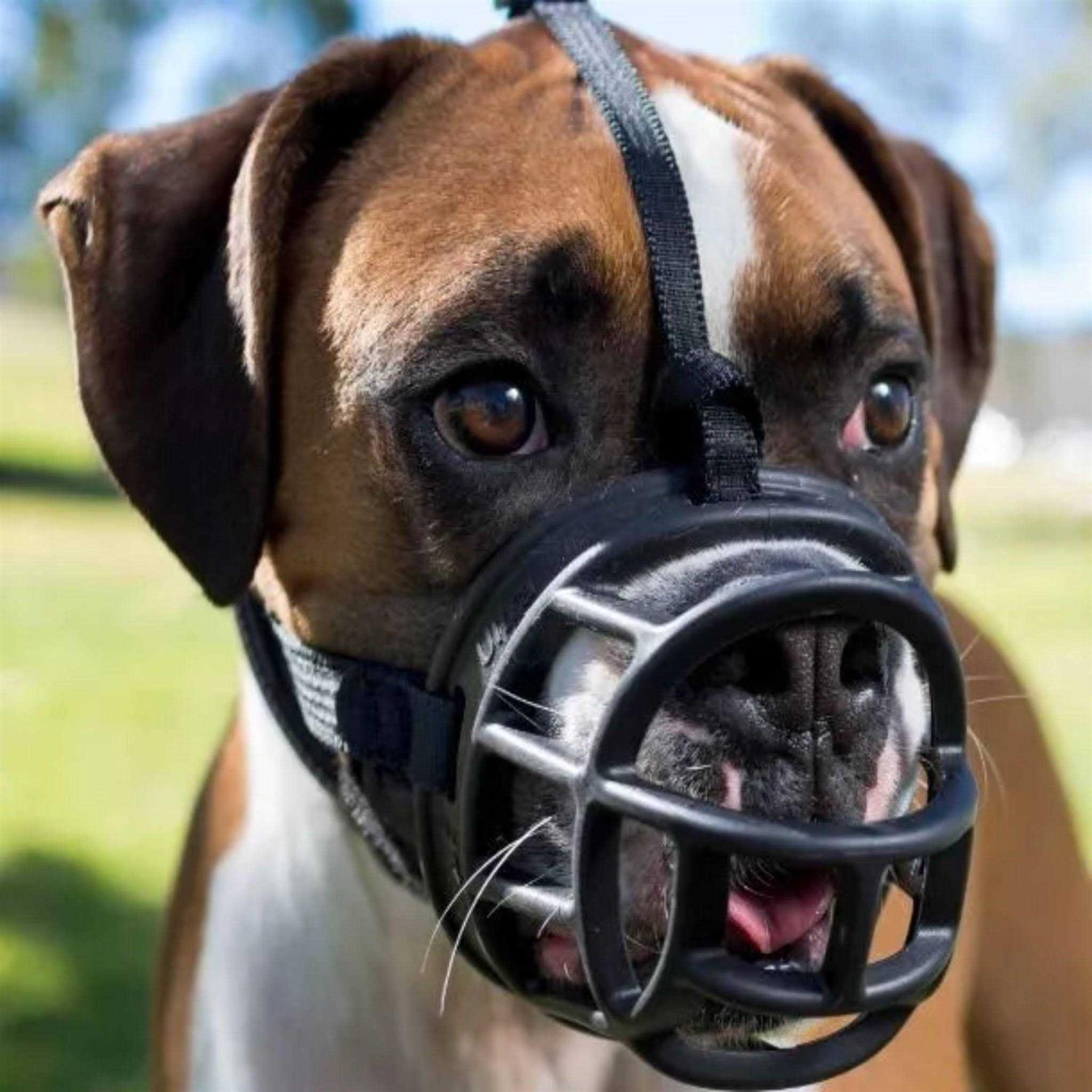 Baskerville Ultra Muzzle - Pet Supplies online store