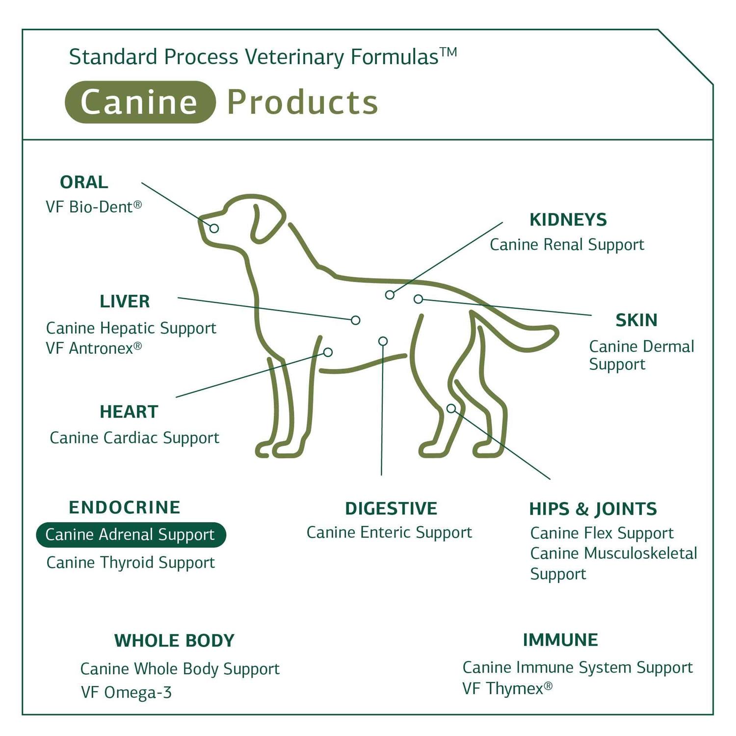 Canine Adrenal Support - Pet Supplies online store