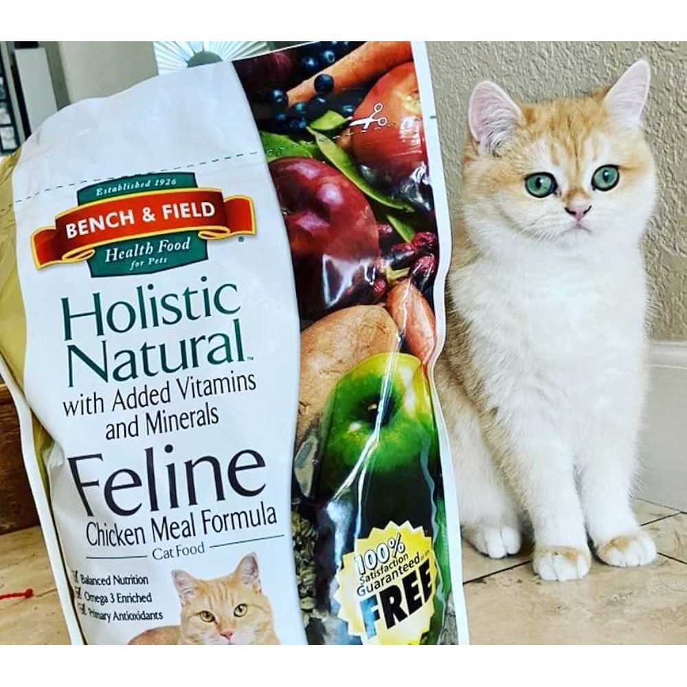 Bench & Field Holistic Natural Cat Food - Pet Supplies online store