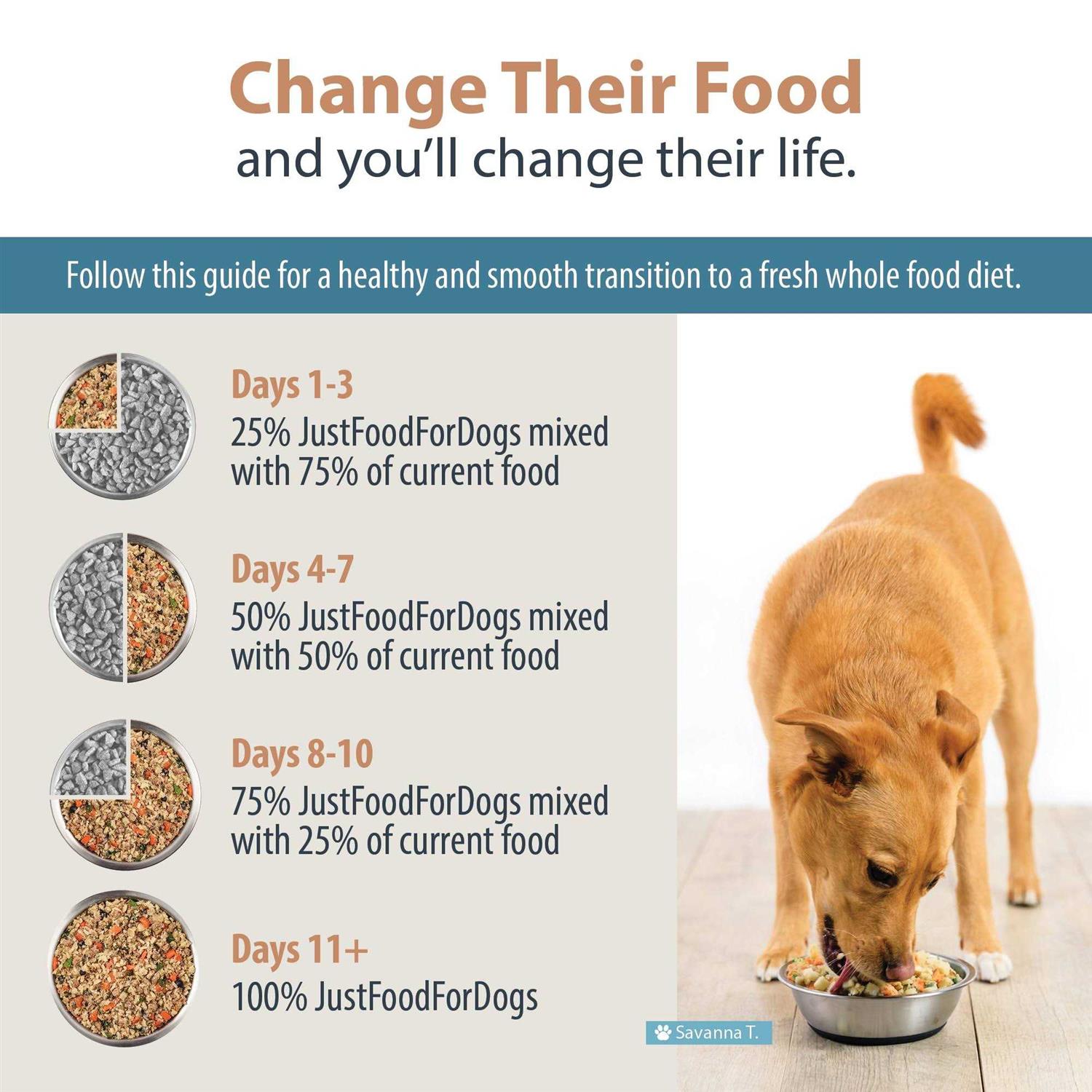 JustFoodForDogs Daily Diets Rice Frozen Dog Food - Pet Supplies online store