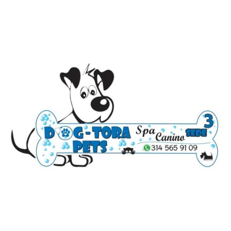 Royal Canin Puppy Loaf in Sauce Canned Dog Food - Pet Supplies online store