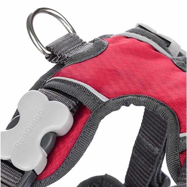 Dog Harness Red Dingo Padded - Pet Supplies online store
