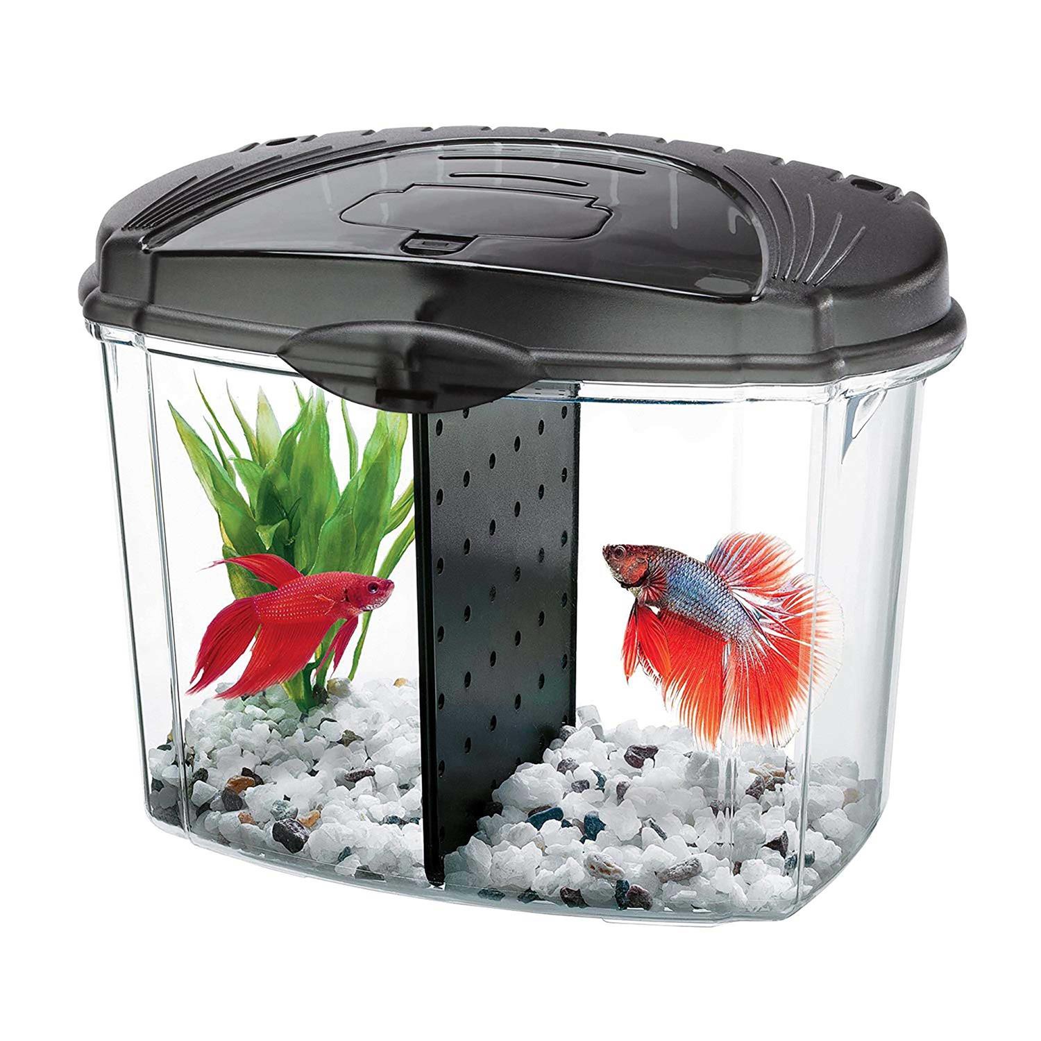 Aqueon Betta Bowl Kit - Pet Supplies online store