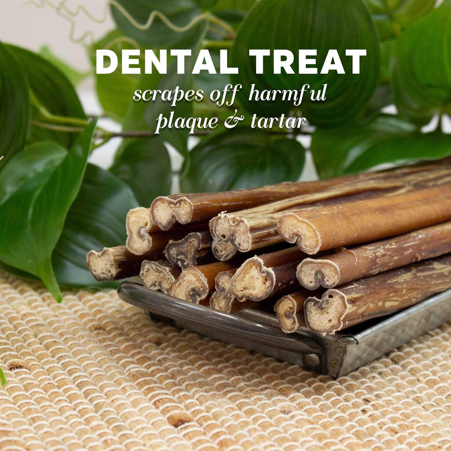 Downtown Pet Supply Bully Sticks for Dogs Free Dog - Pet Supplies online store