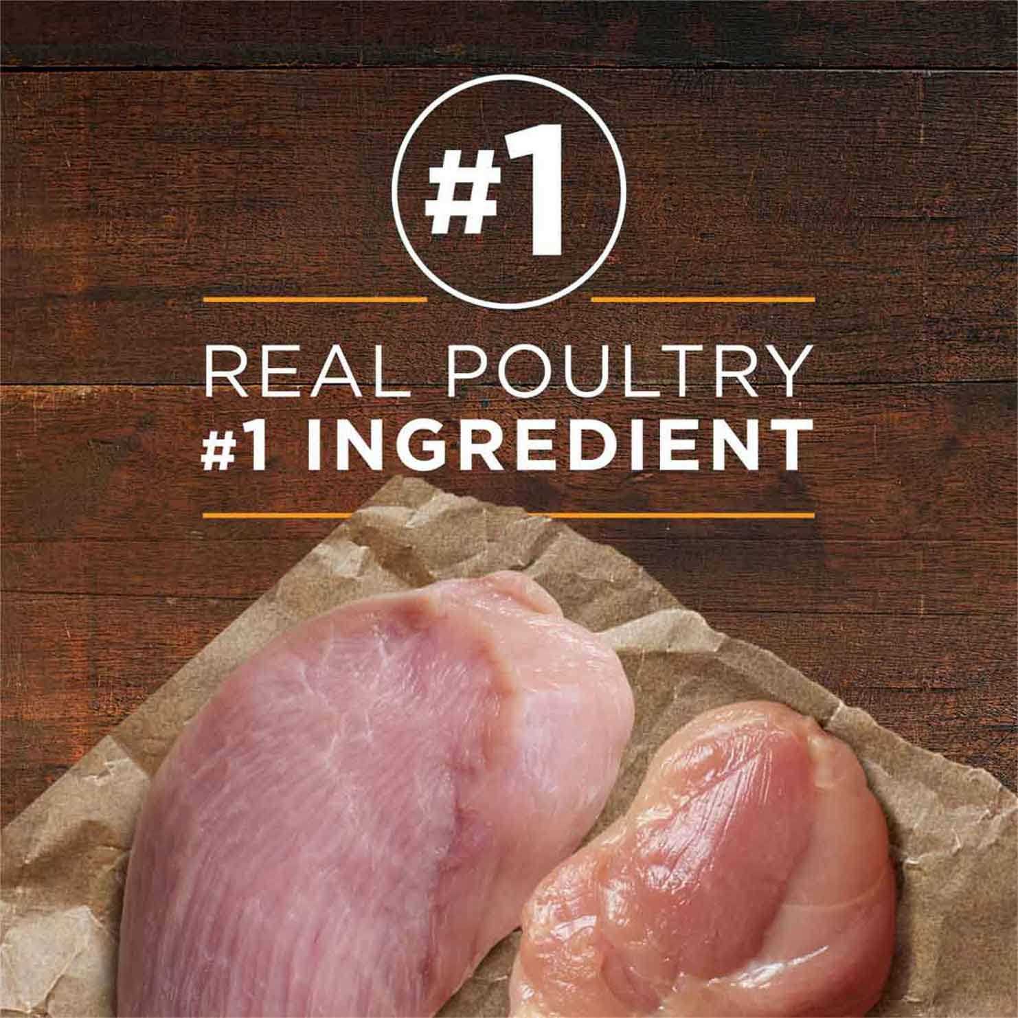 Purina ONE SmartBlend Adult Dog Food True Instinct Grain Free - Pet Supplies online store