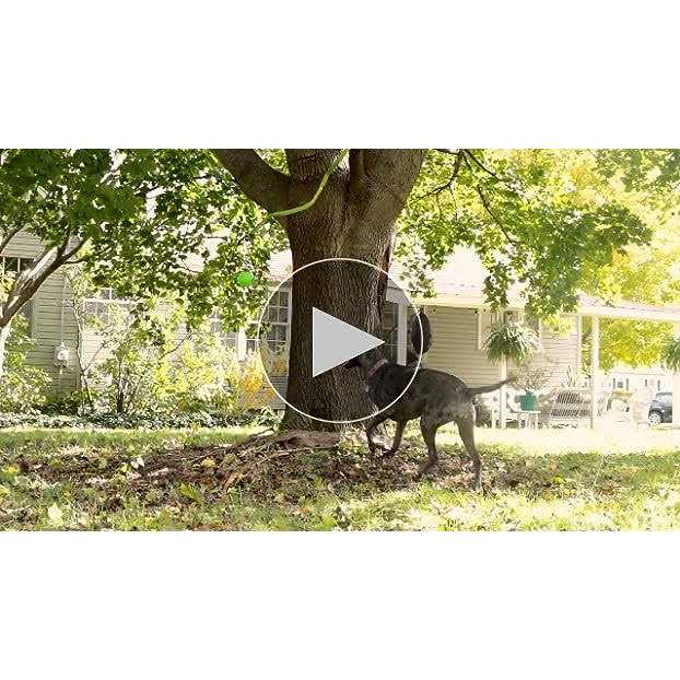 Jolly Pets Dog Toy Tree Tugger - Pet Supplies online store