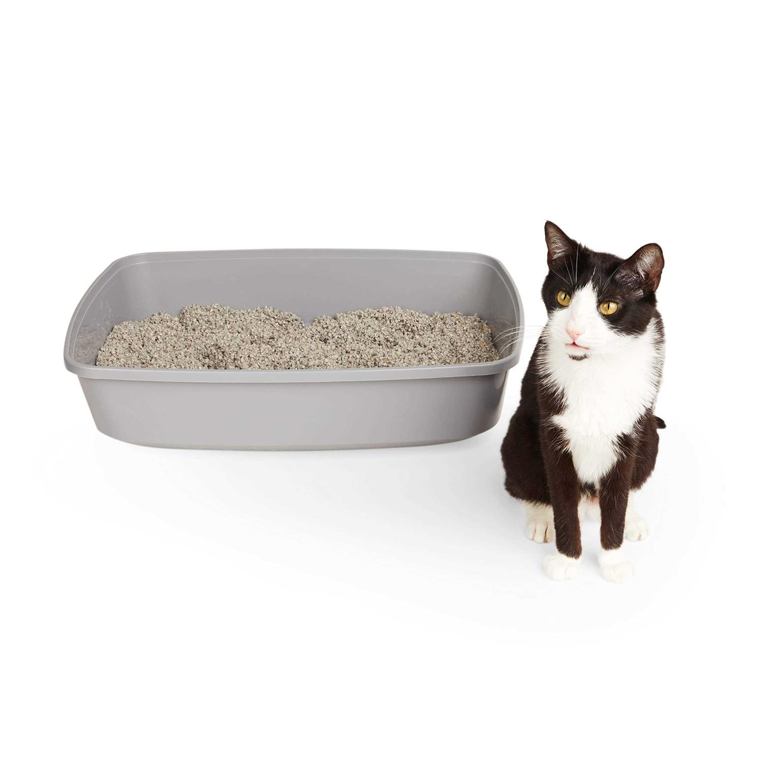 So Phresh Open Cat Litter Box - Pet Supplies online store