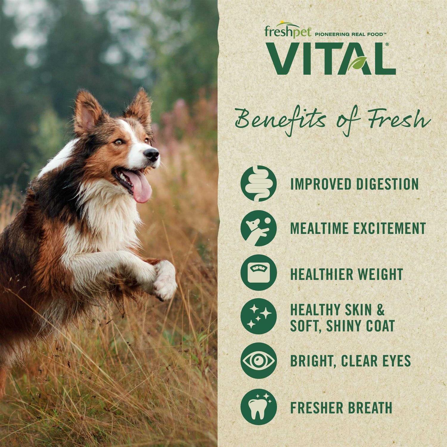 Freshpet Vital Grain Free Puppy Food - Pet Supplies online store