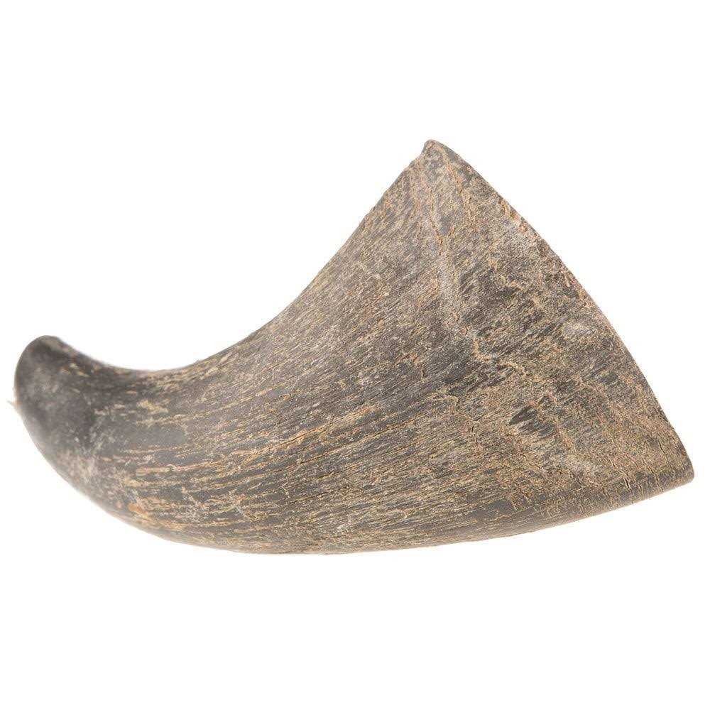 QT Dog Water Buffalo Horn Small - Pet Supplies online store