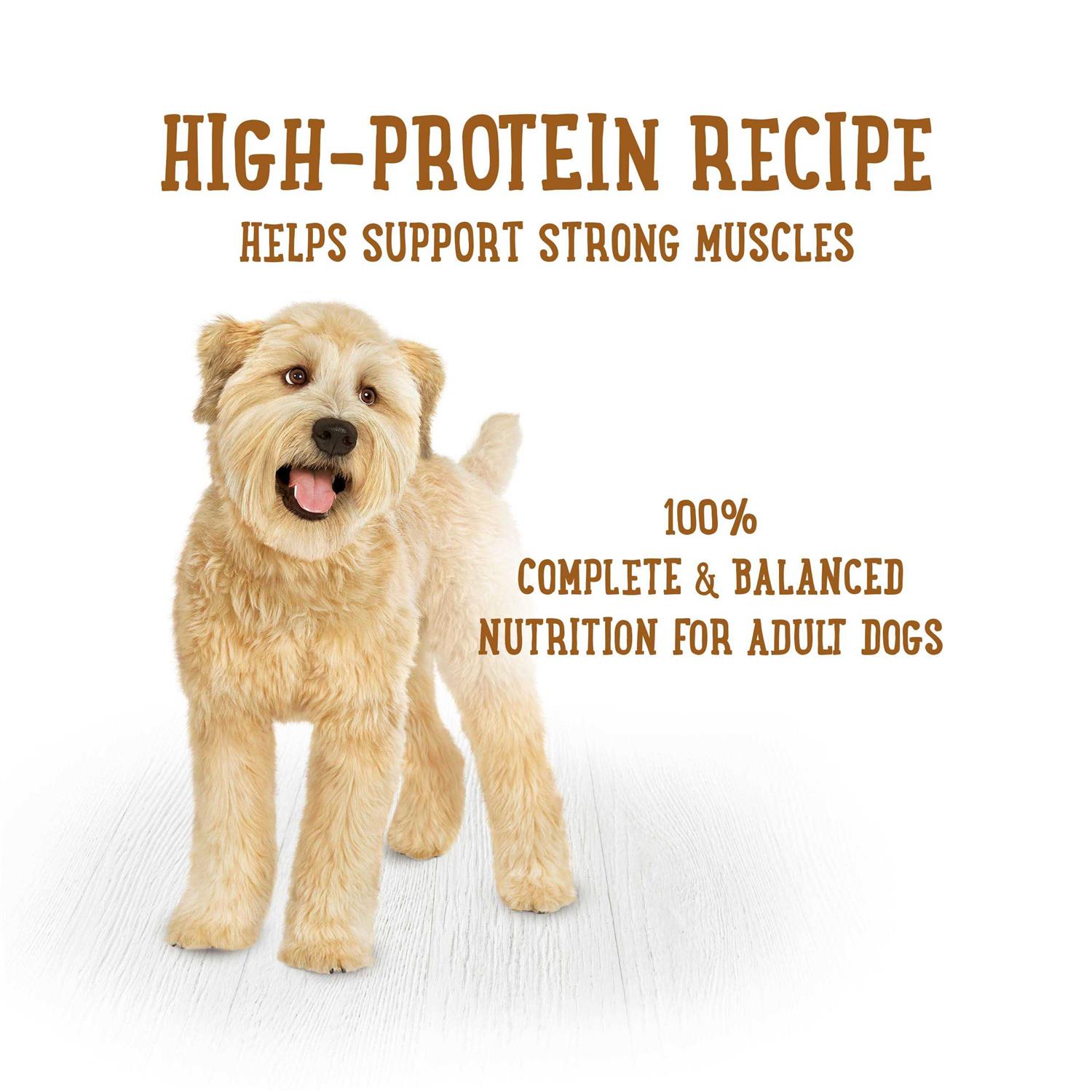 Purina Beneful Prepared Meals Savory Rice & Lamb Stew Wet Dog Food - Pet Supplies online store