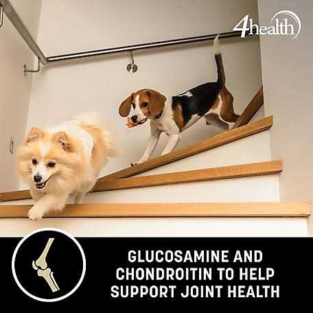 4health with Wholesome Grains Small Bites Adult Chicken Formula Dry Dog Food - Pet Supplies online store