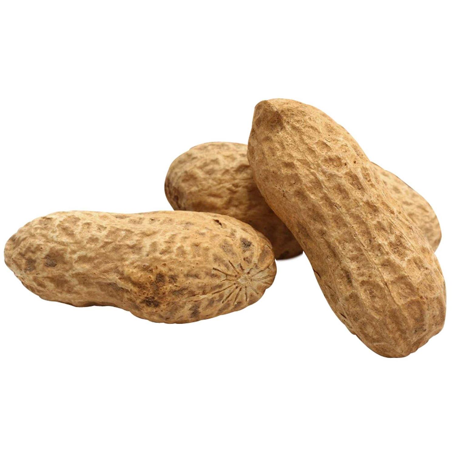 Song Blend Unsalted In-Shell Whole Peanuts Bird Food - Pet Supplies online store