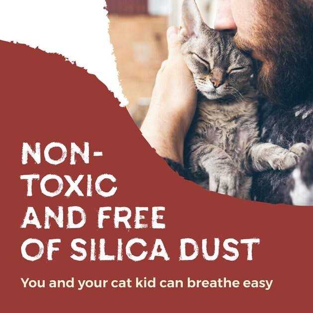 Eco-Shell Naturally Fresh Cat Litter Made from Walnut Shells - Pet Supplies online store