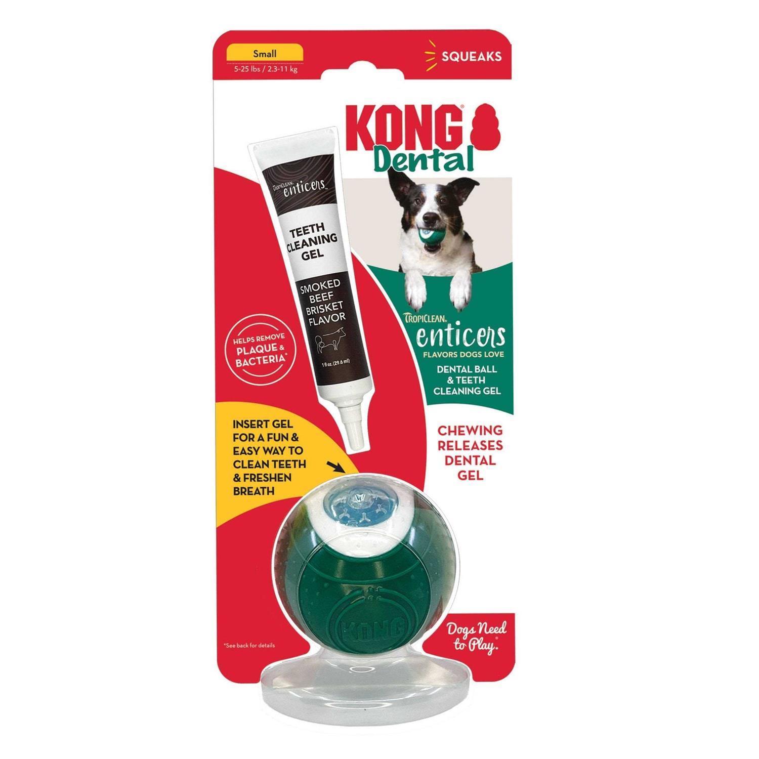 Kong Dental Ball & Teeth Cleaning Gel Dog Toy - Pet Supplies online store