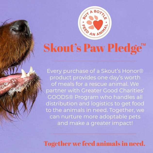 Skout's Honor Probiotic Detangler - Pet Supplies online store