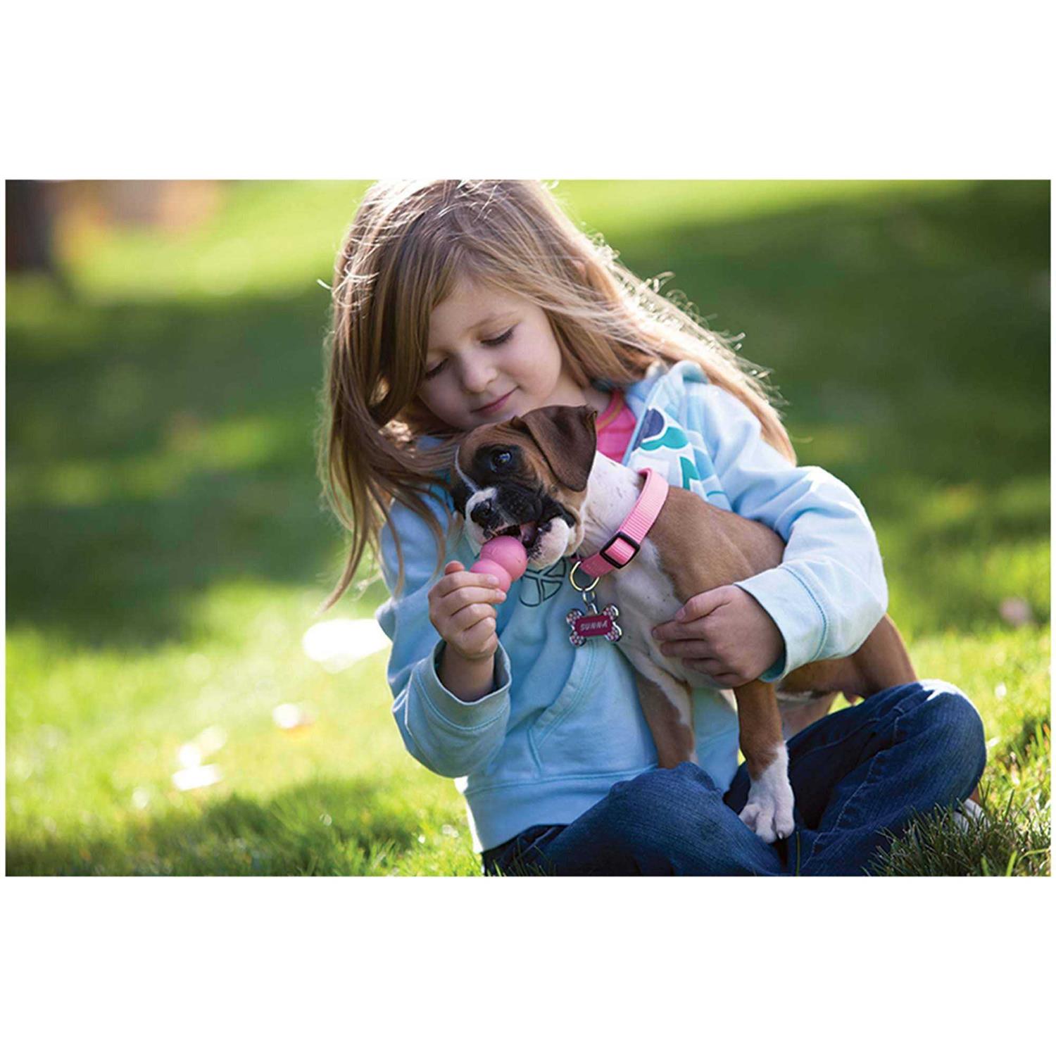 KONG Puppy Toy - Pet Supplies online store