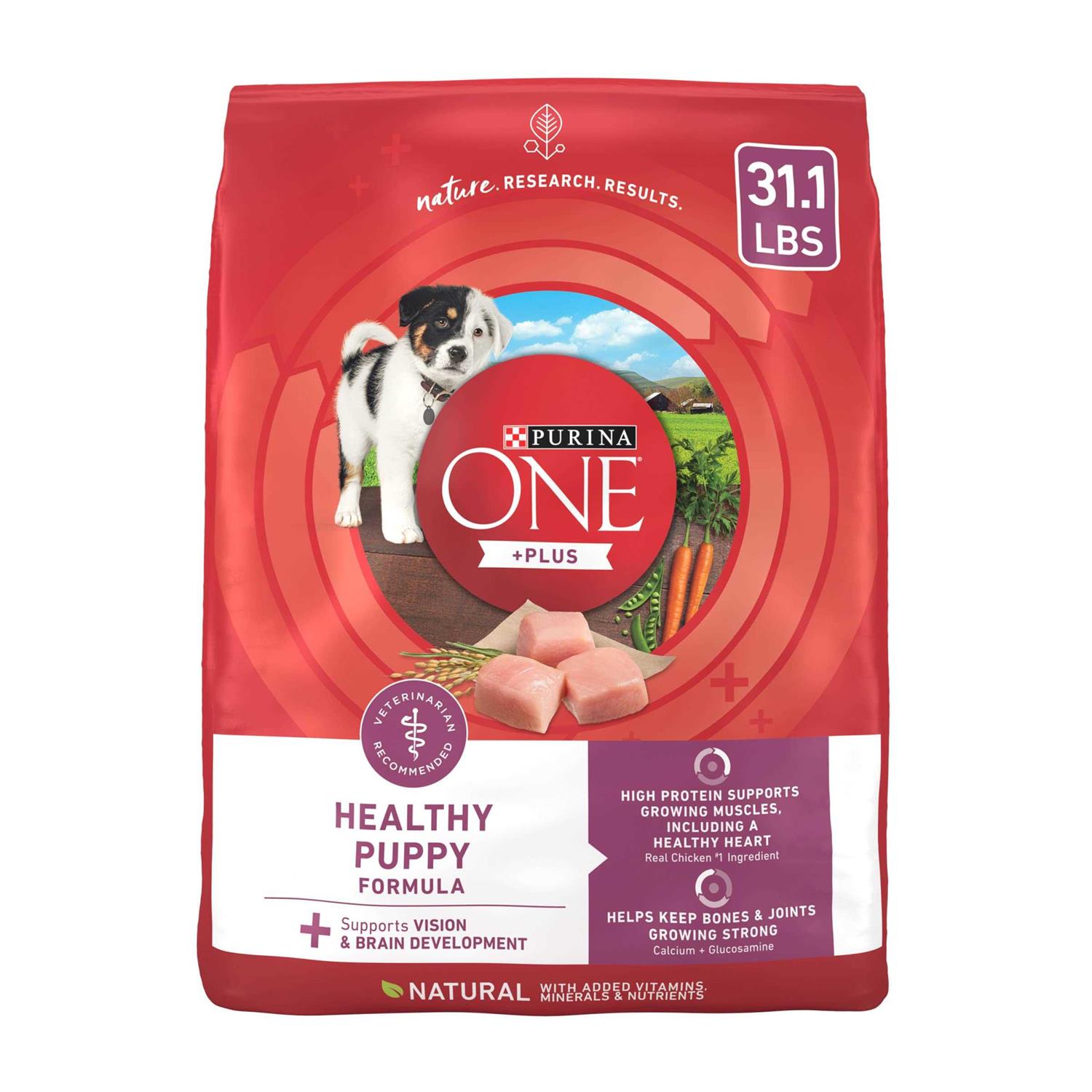 Purina ONE Healthy Puppy Formula High Protein Dry Dog Food - Pet Supplies online store