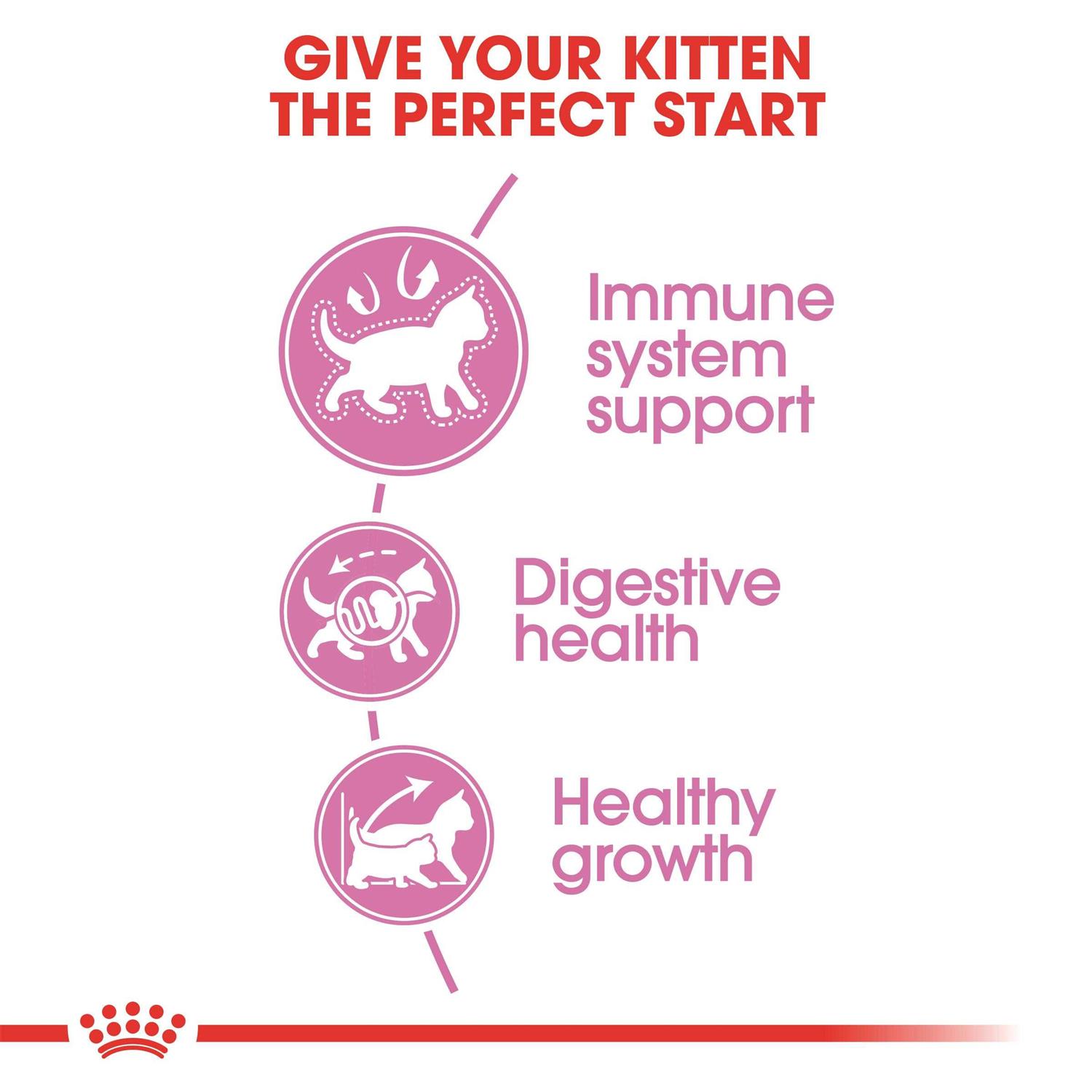 Royal Canin Kitten Feline Health Nutrition Kitten Dry Food - Pet Supplies online store