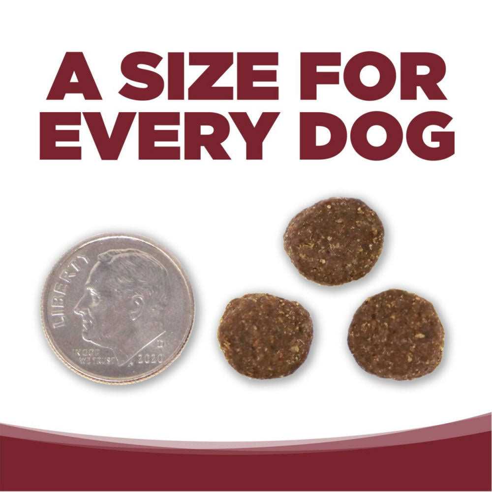 NutriSource Beef Rice Dry Dog Food - Pet Supplies online store