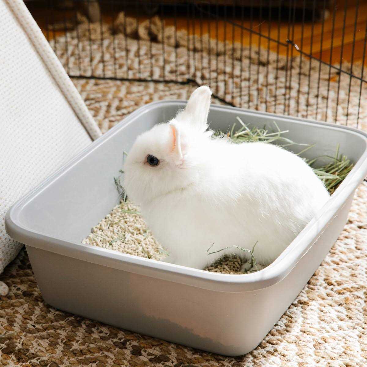 Carefresh Litter Rabbit & Ferret - Pet Supplies online store
