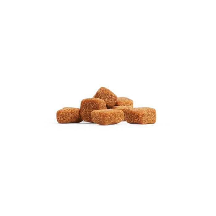Well & Good Cat Digestive Probiotic Soft Chews - Pet Supplies online store