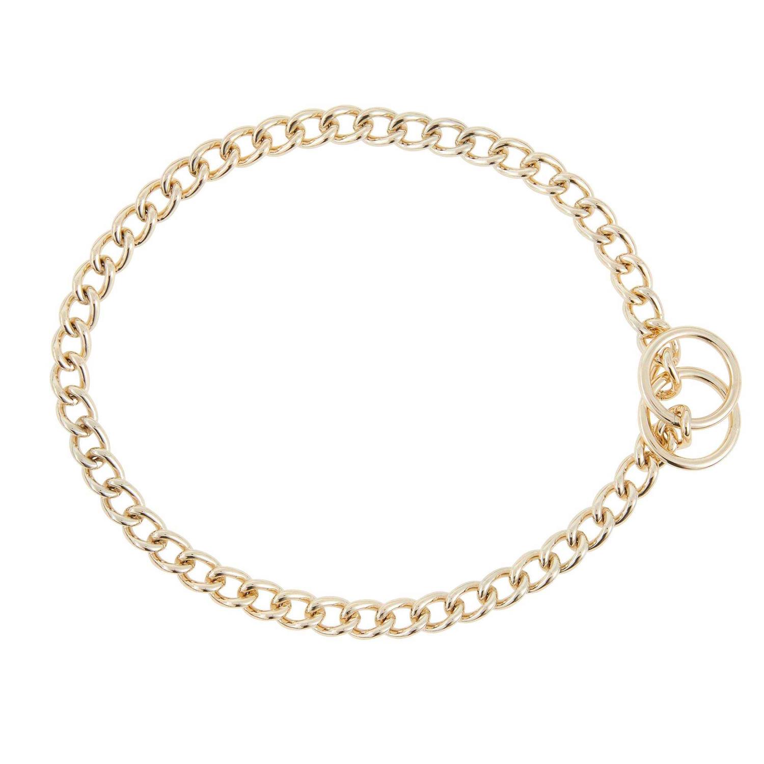 Top Paw Choke Chain Dog Collar - Pet Supplies online store